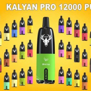 Kalyan 12000 Puffs Disposable Dubai