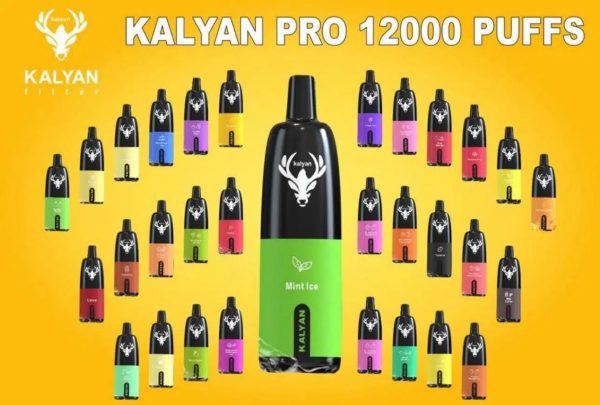 Kalyan 12000 Puffs Disposable Dubai