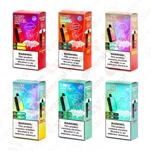 Lost Angel Pro Max 20K Vape Dubai